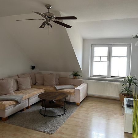 Bambus, Jungle, Dachterrasse & Bequem Bis Zentrum راديبول المظهر الخارجي الصورة
